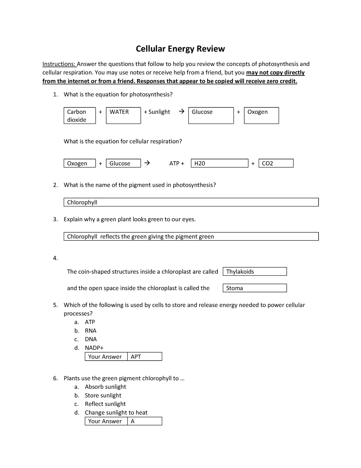 Cellular Energy Review Pre A Cellular Energy Review Instructions