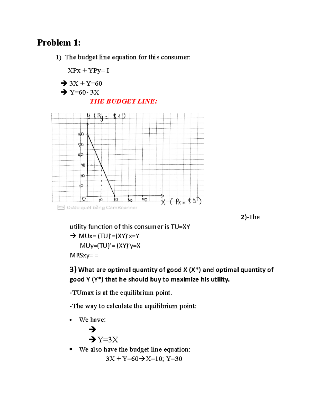 assignment 5 microeconomics - Problem 1: 1) The budget line equation ...