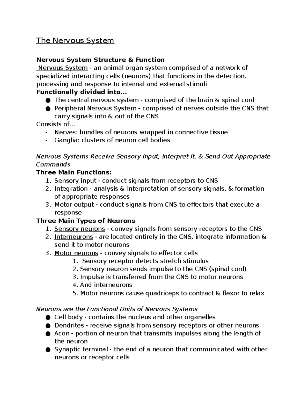 ch-28-biology-1040-the-nervous-system-nervous-system-structure