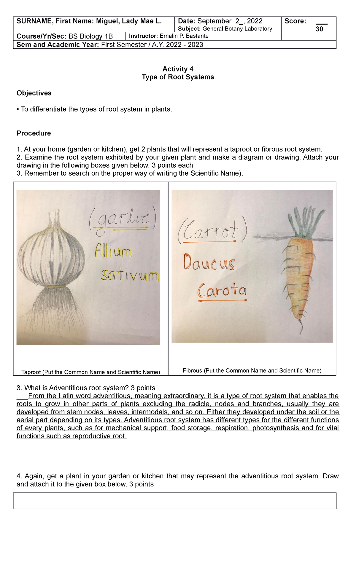 activity-5-type-of-root-system-miguel-lady-mae-l-surname-first-name