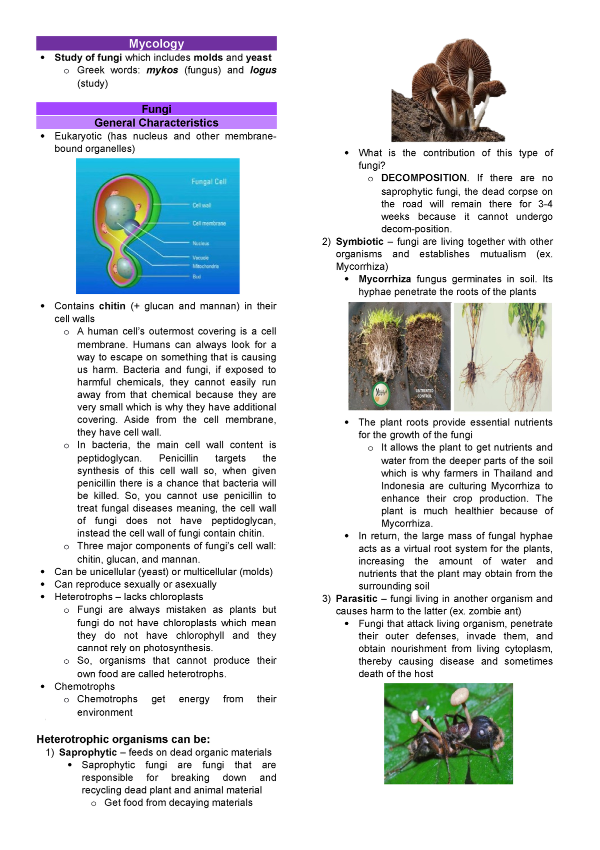 Mycology Prelims Topics - Mycology Study Of Fungi Which Includes Molds ...