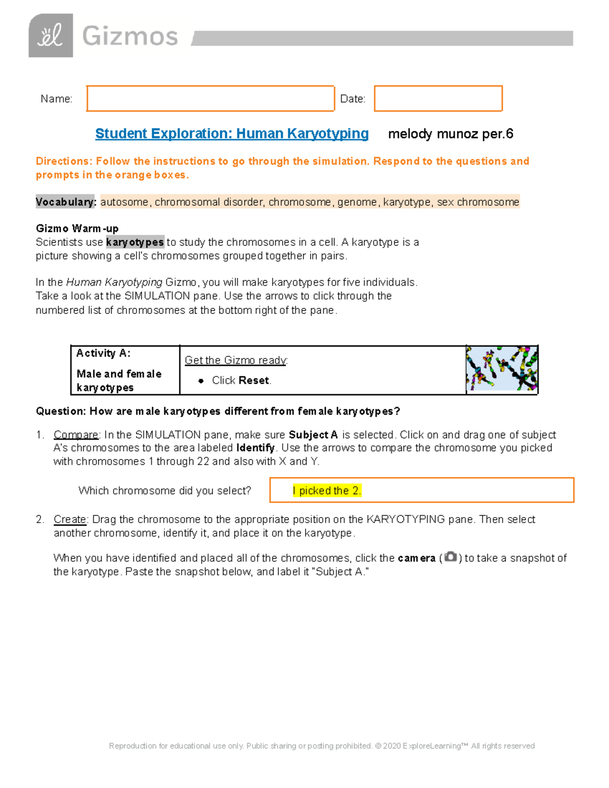 - Gizmos Human Karyotyping - Name: Date: Student Exploration: Human ...