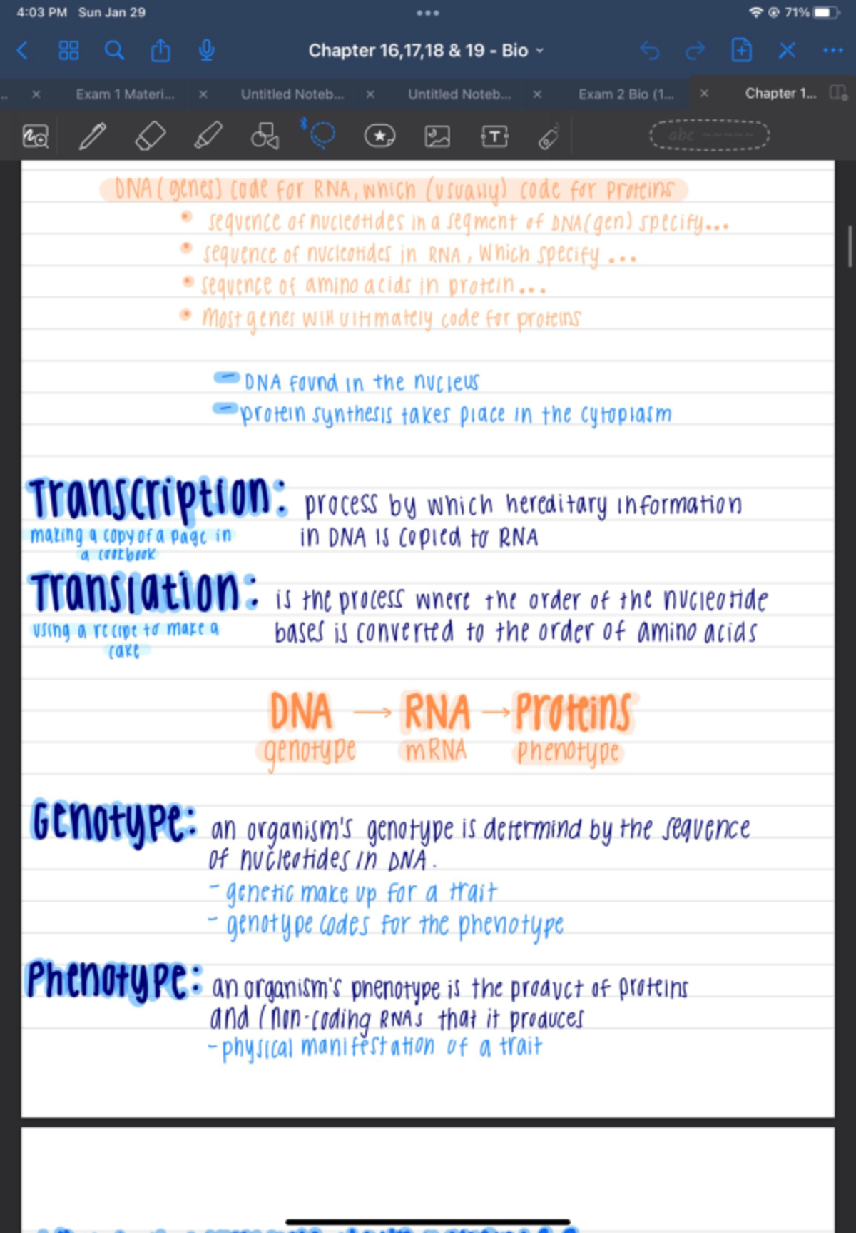 Chapter 16 Notes - BI 111 - Studocu