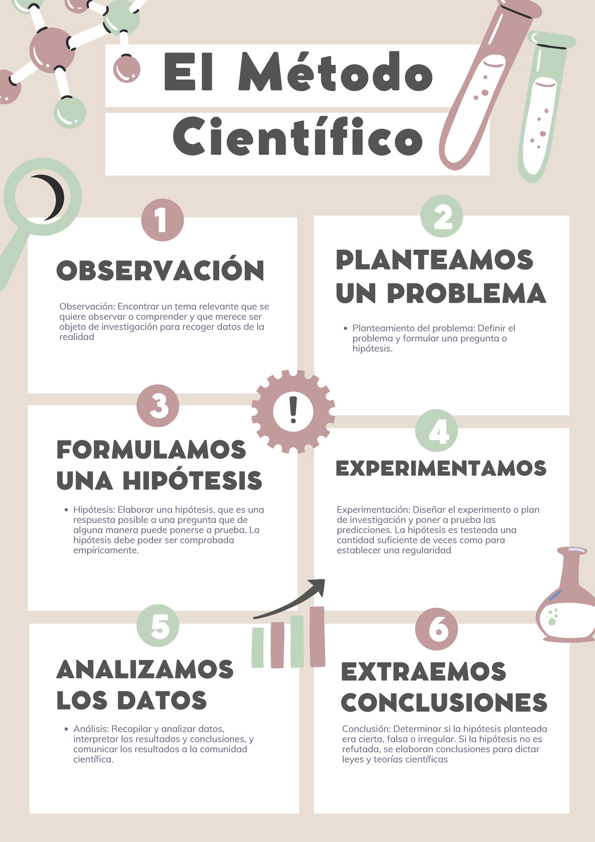 Pasos del metodo cientifico - El Método Científico OBSERVACIÓN ...