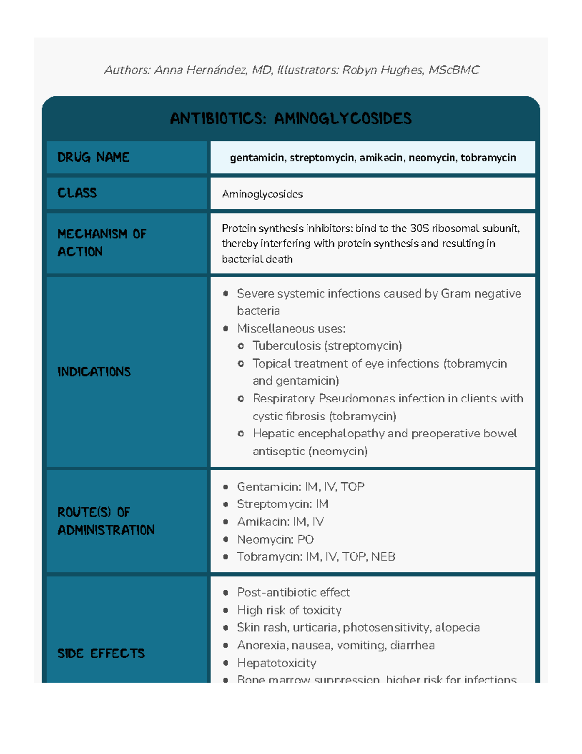 Gentamicin - Notes - NURS215 - BSC - Studocu
