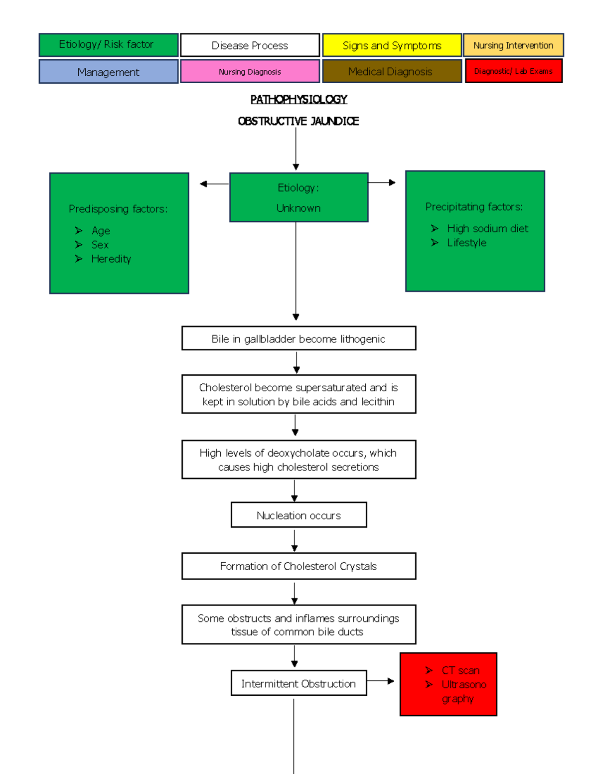Pathophysiology kbkhkhk PATHOPHYSIOLOGY OBSTRUCTIVE JAUNDICE