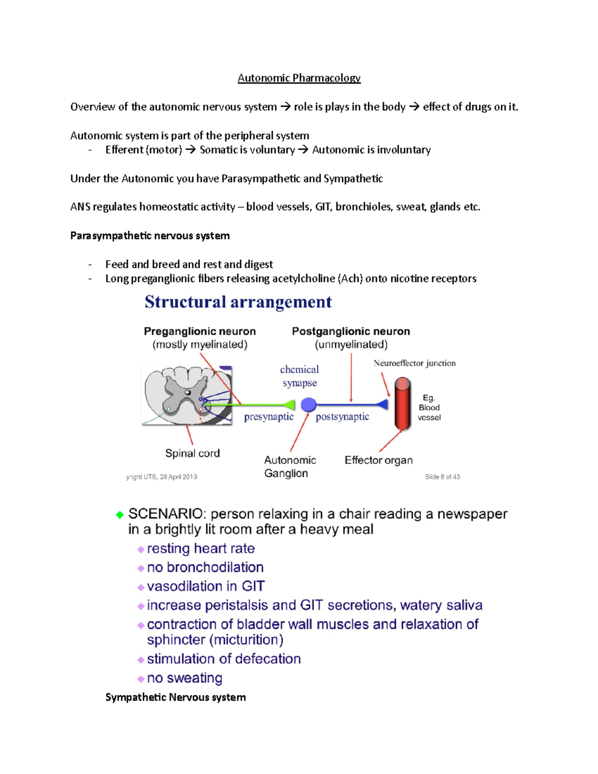 Autonomic Pharmacology Summary - 091707 - Studocu