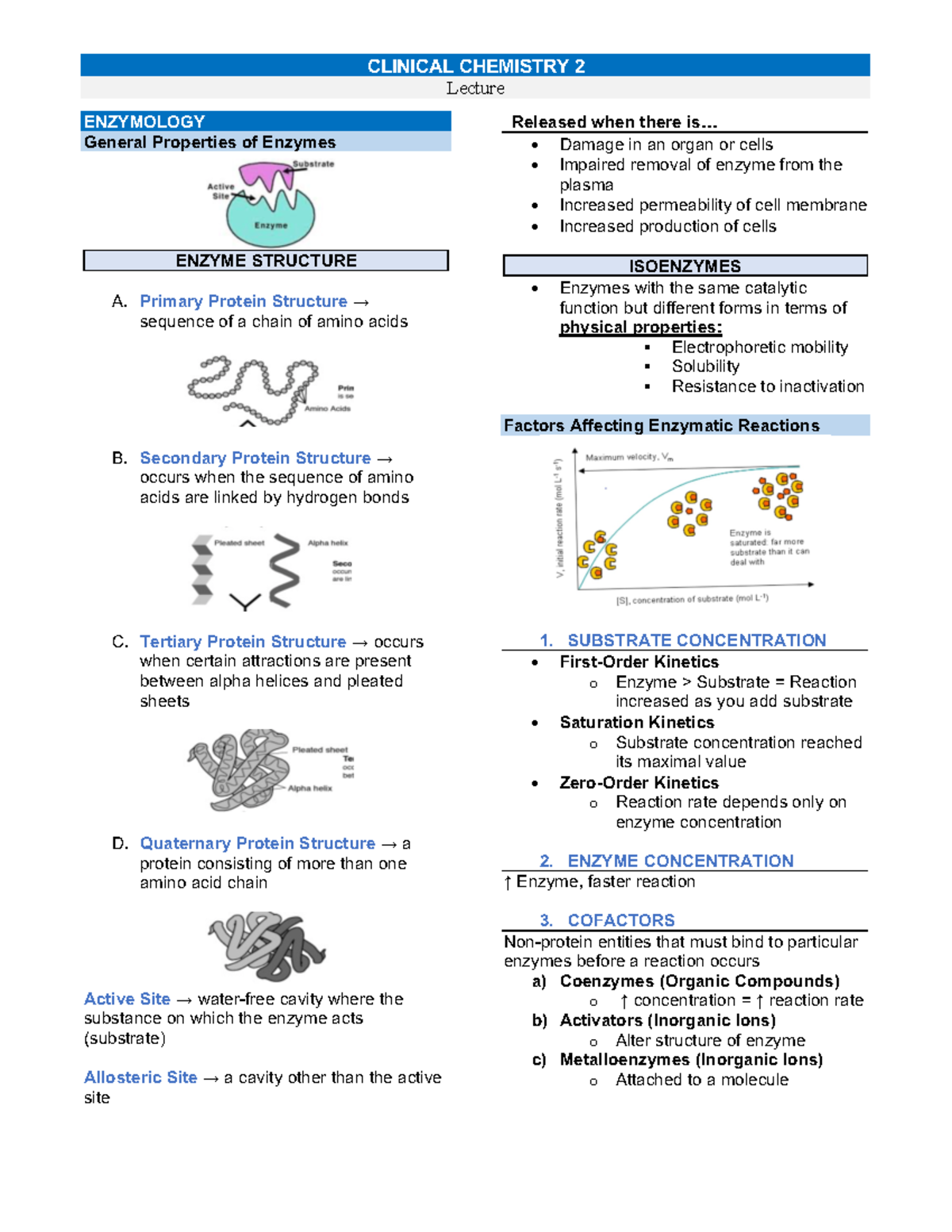 CC2 Lec Enzymes Lecture discussion. All knowledge properties and