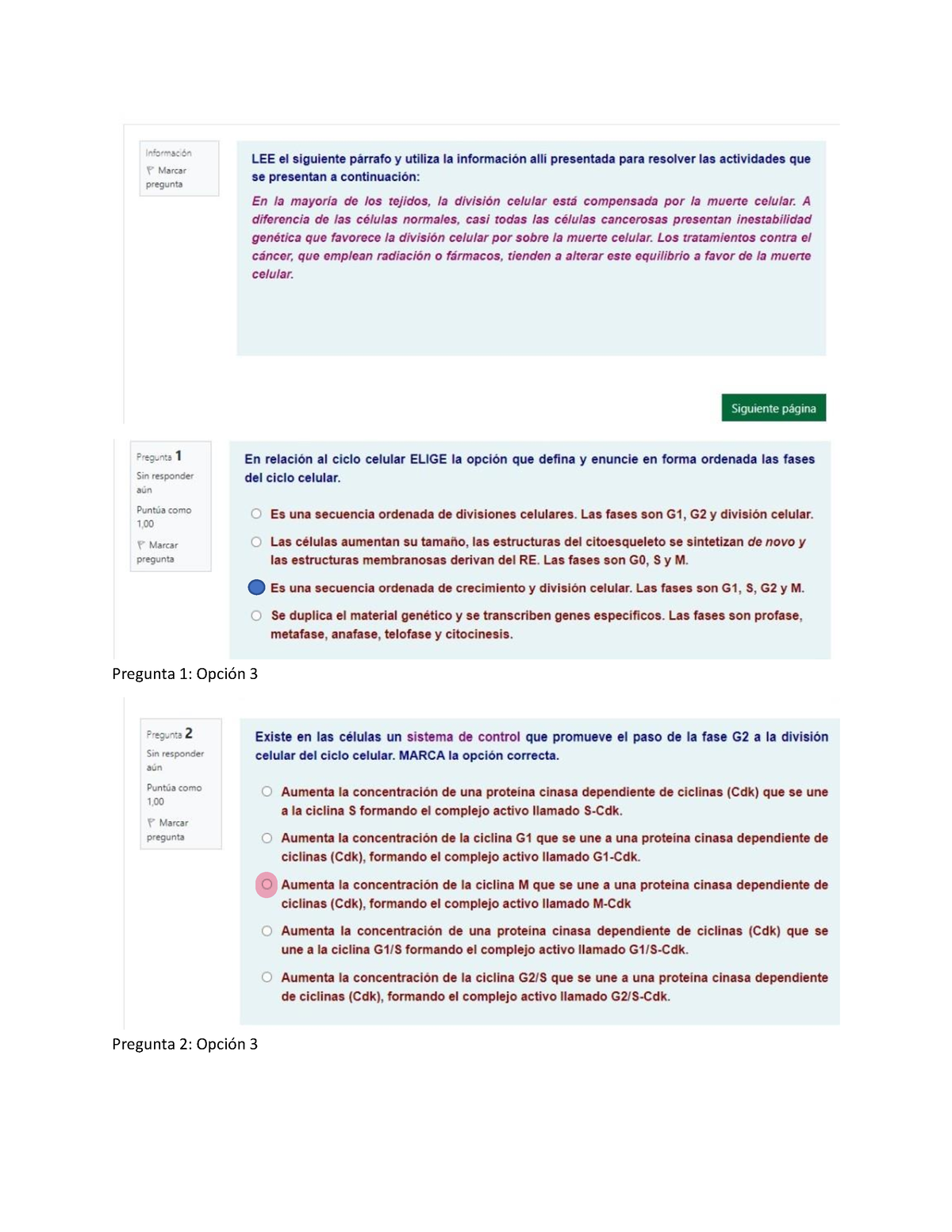 2do Parcial B 2021 Con Respuestas - Biología Celular - Pregunta 12 ...