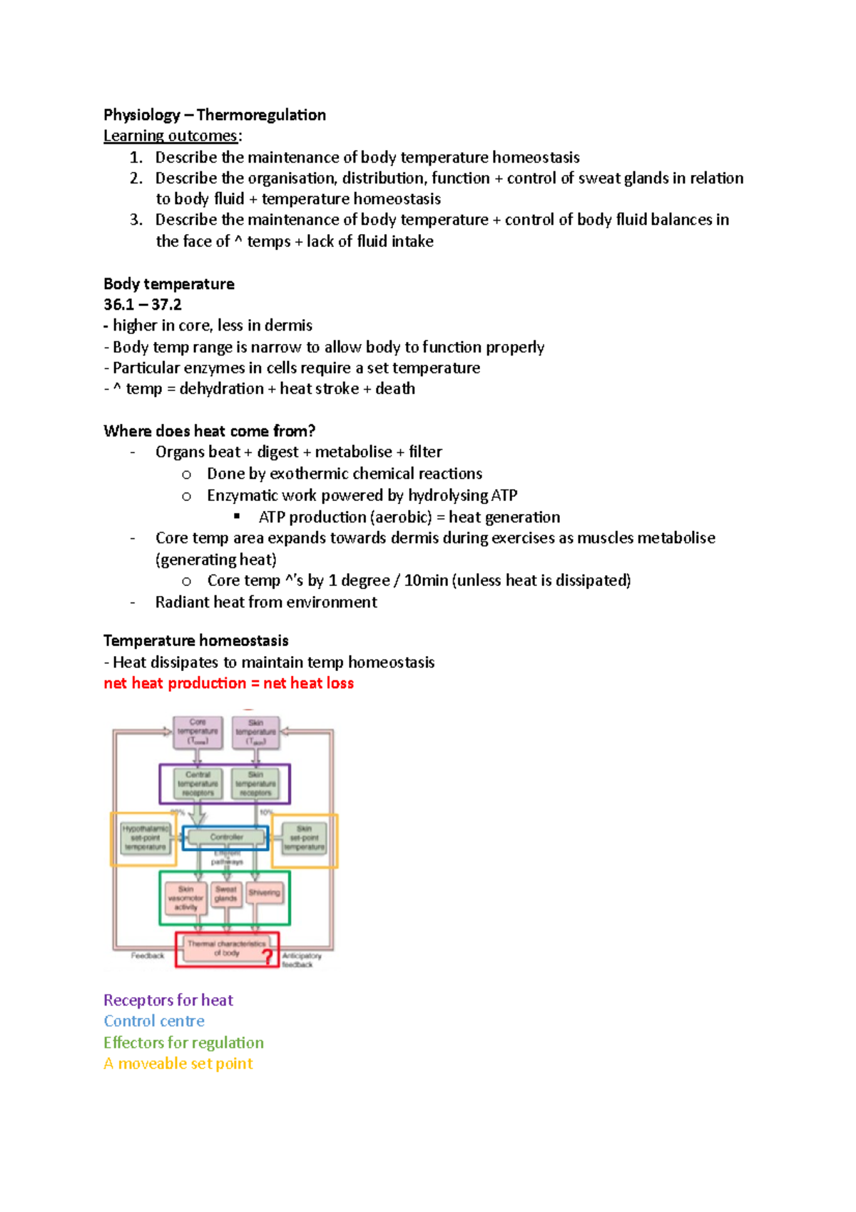 Physiology - Thermoregulation - Physiology – Thermoregulation Learning ...