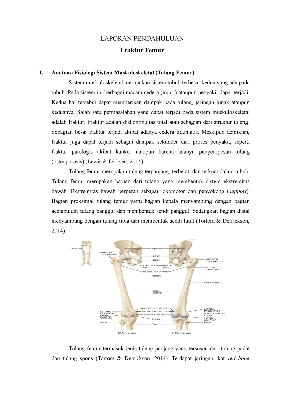LP Fraktur Femur - LAPORAN PENDAHULUAN Fraktur Femur I. Anatomi ...