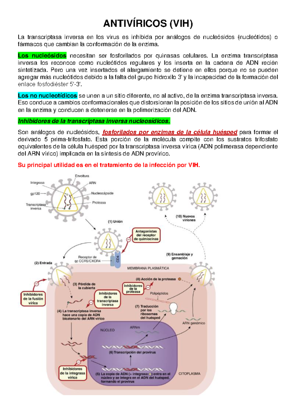 Antivíricos - ANTIVÍRICOS (VIH) La transcriptasa inversa en los virus ...