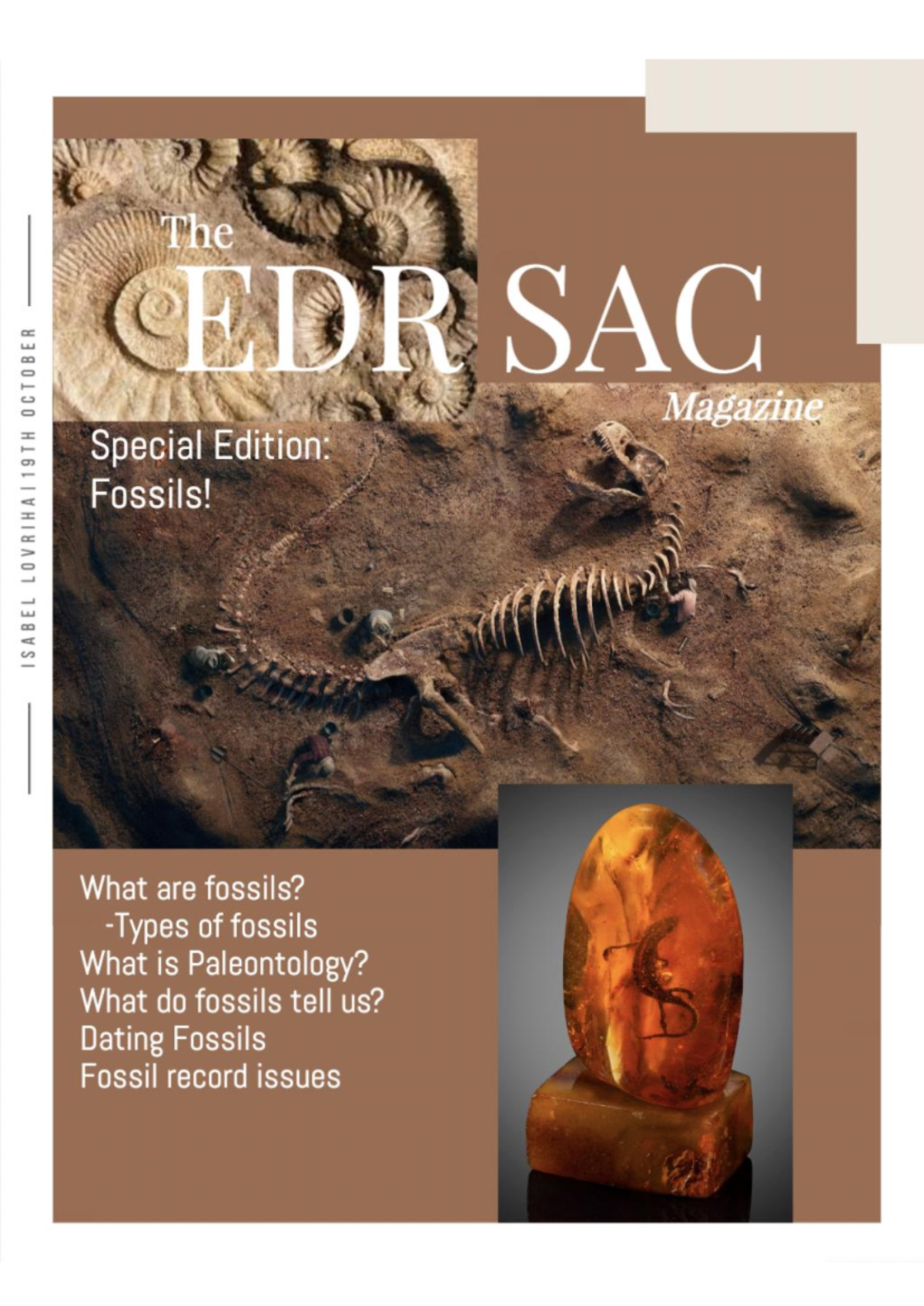 Fossils Magazine - The EDR SAC Magazine Special Edition: Fossils! What ...
