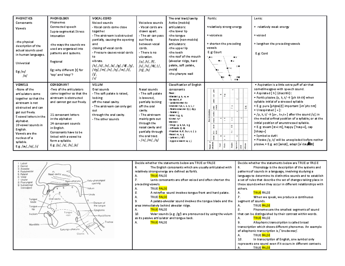 Phonetics - PHONETICS Consonants Vowels -the physical description of ...