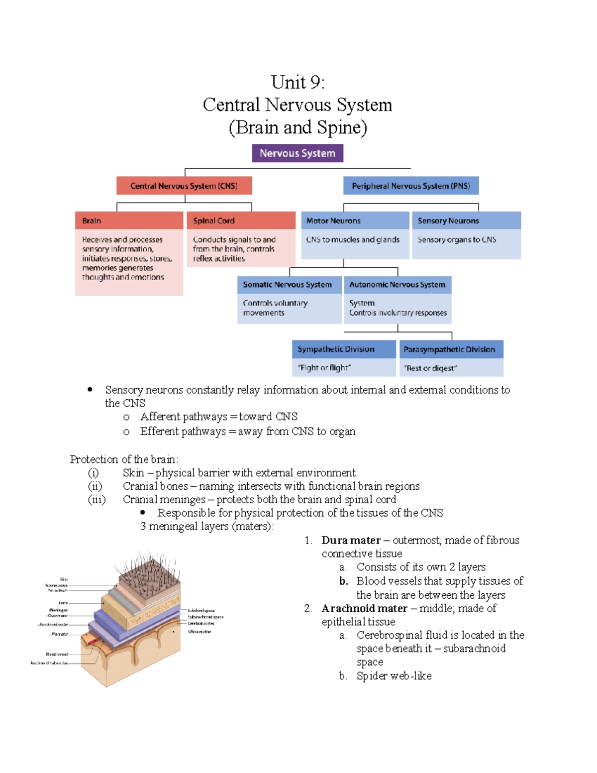Unit 9 - CNS - Redden, Krauss PNB 2264 - Unit 9: Central Nervous System ...