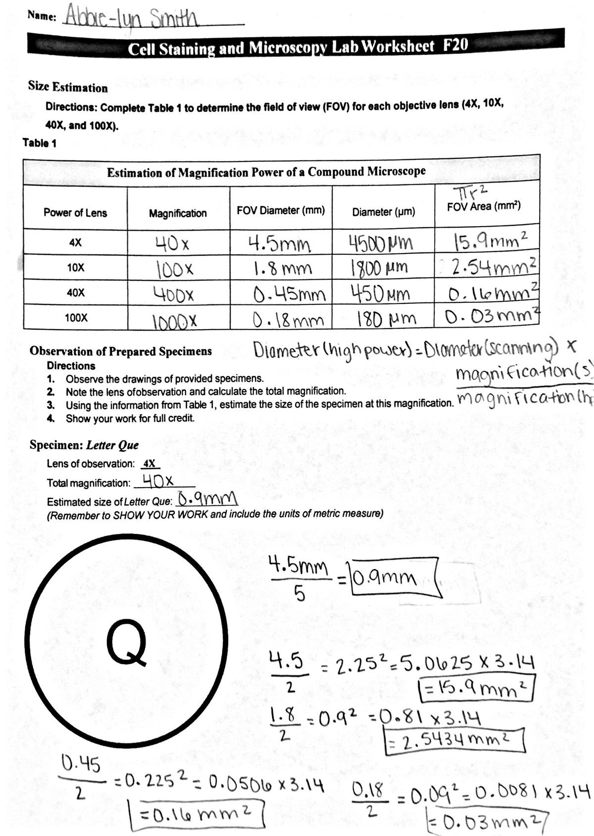 Cell Staining - Table 1 Estimation of Magnification Power of a Compound ...