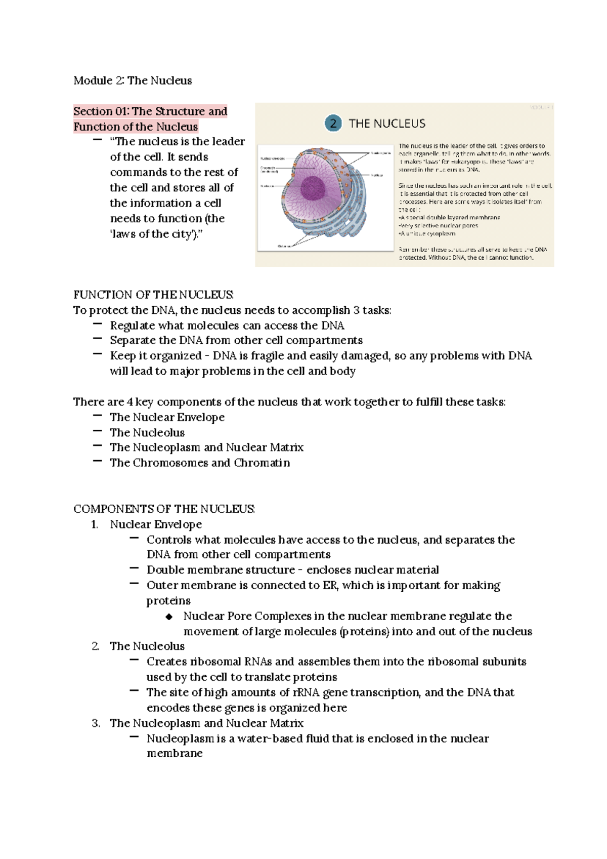 assignment on nucleus