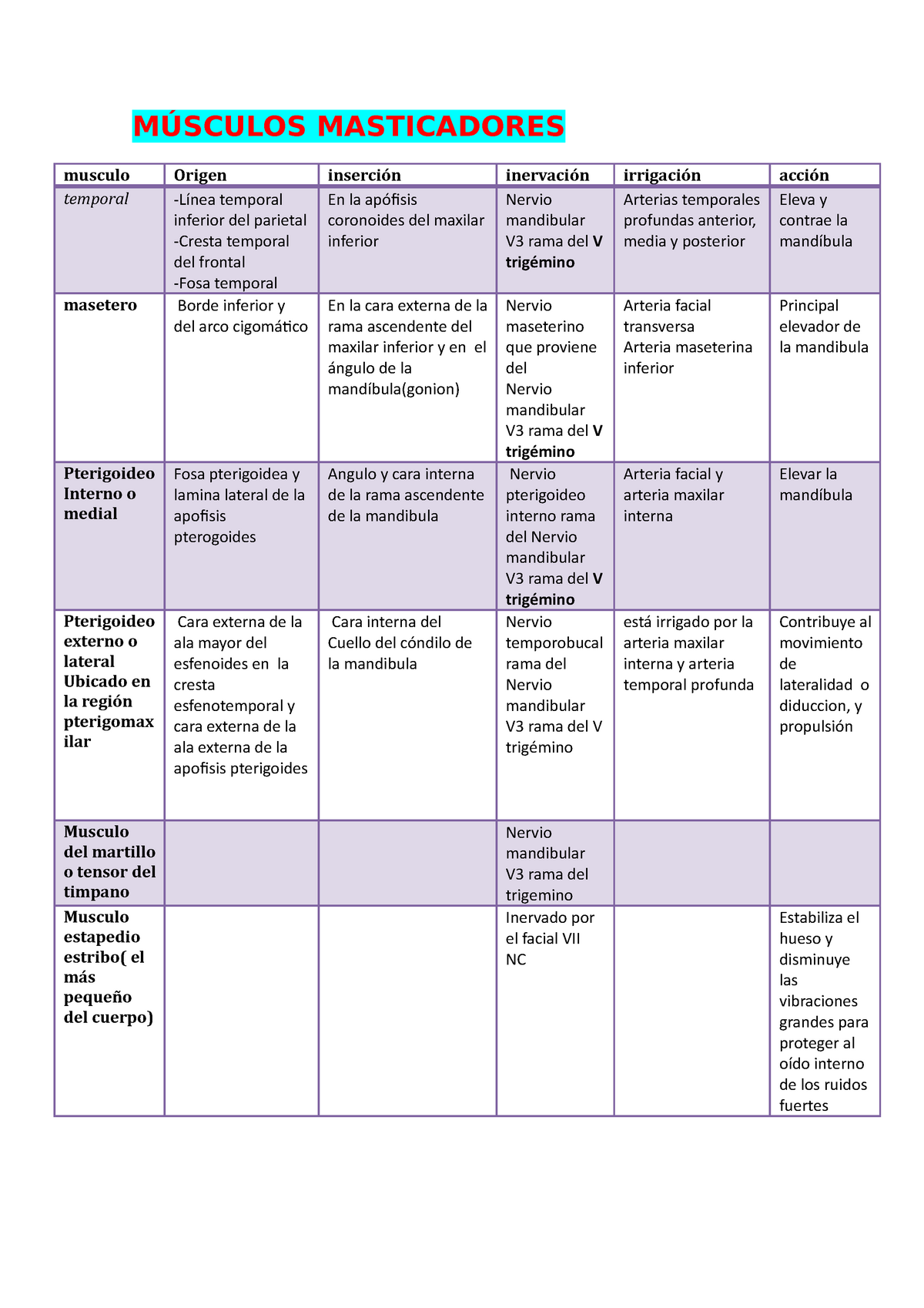 Apuntes De Músculosorigen Inserción Inervacion Irrigación Y Acción MÚsculos Masticadores 0470