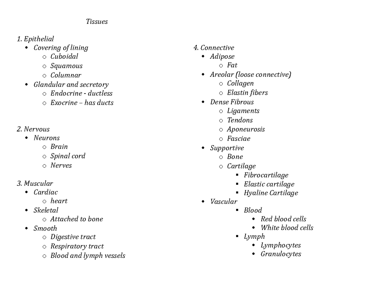 Tissues - word doc - Anatomy and Physiology - Tissues Epithelial ...