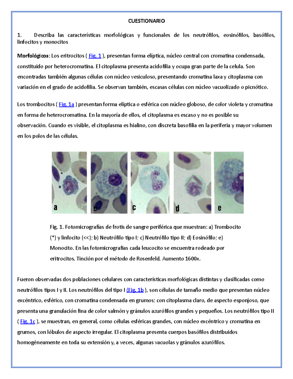 Cuestionario 2 Bioquimica - CUESTIONARIO Describa Las Características ...