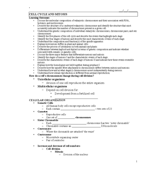 Chapter 3 - Macromolecule Notes - Carbon - Framework of biological ...
