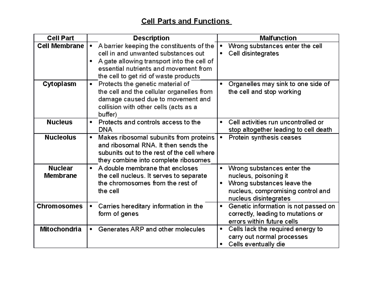 biology-cell-structure-and-functions