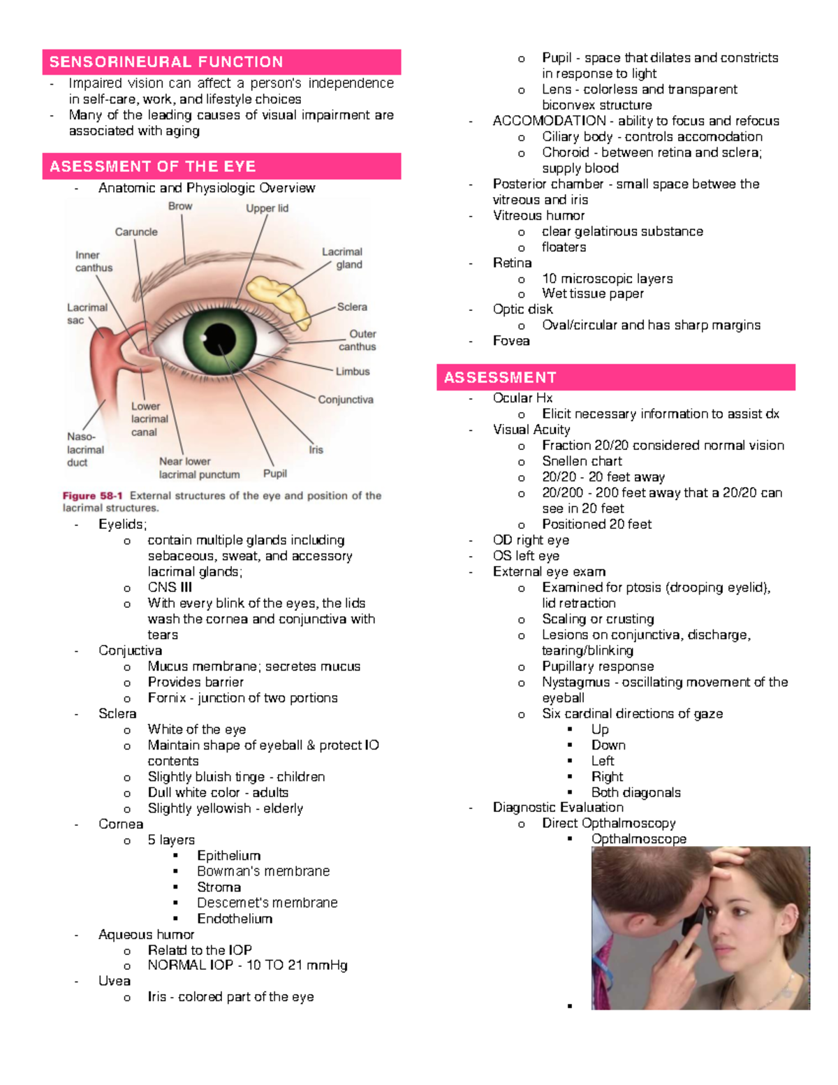 Sensorineural Function - SENSORINEURAL FUNCTION Impaired vision can ...