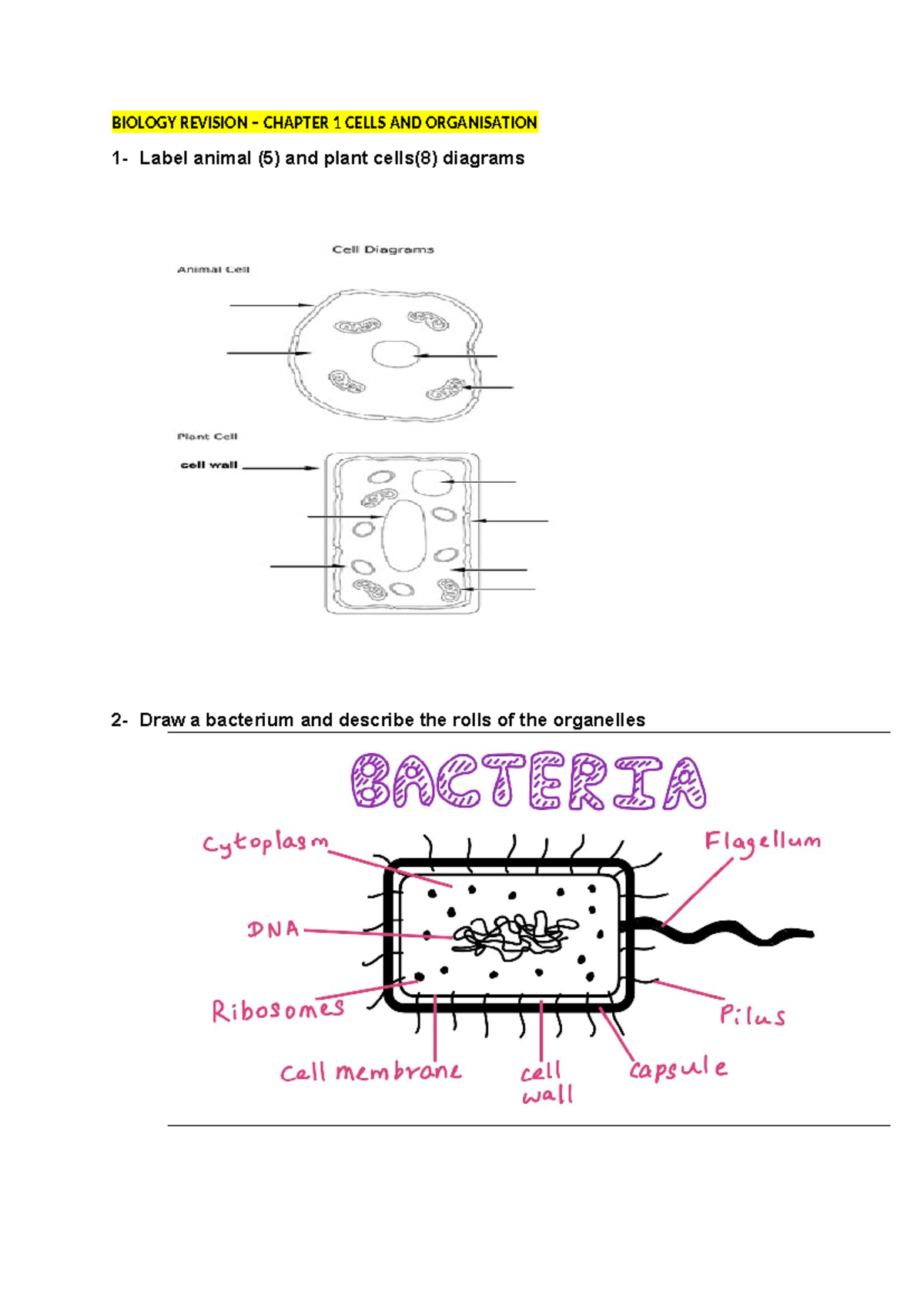 Biology Revision Chapter 1 - BIOLOGY REVISION – CHAPTER 1 CELLS AND ...