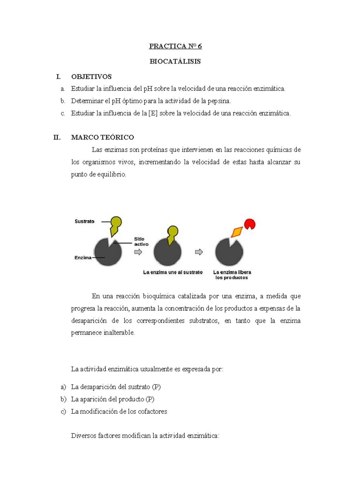 P6 Biocatálisis - PRACTICA N° 6 BIOCATÁLISIS I. OBJETIVOS a. Estudiar ...