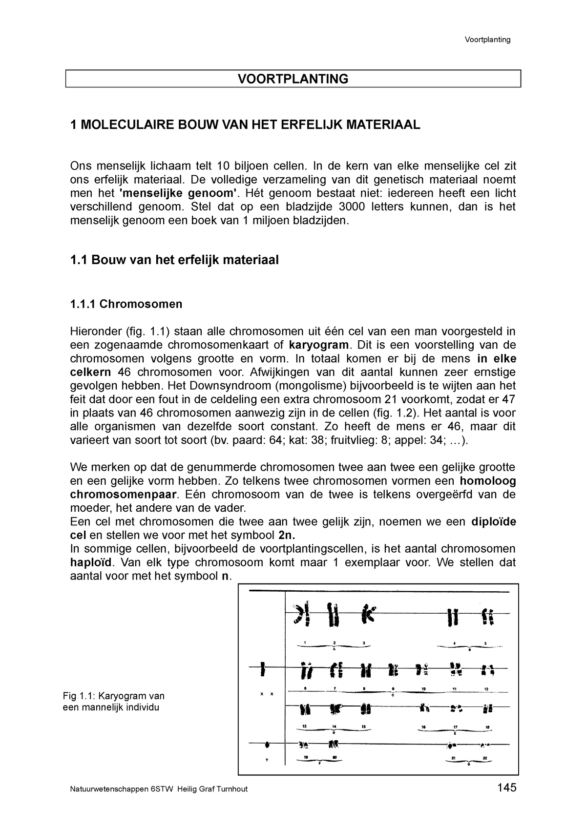 5Voortplanting - VOORTPLANTING 1 MOLECULAIRE BOUW VAN HET ERFELIJK ...