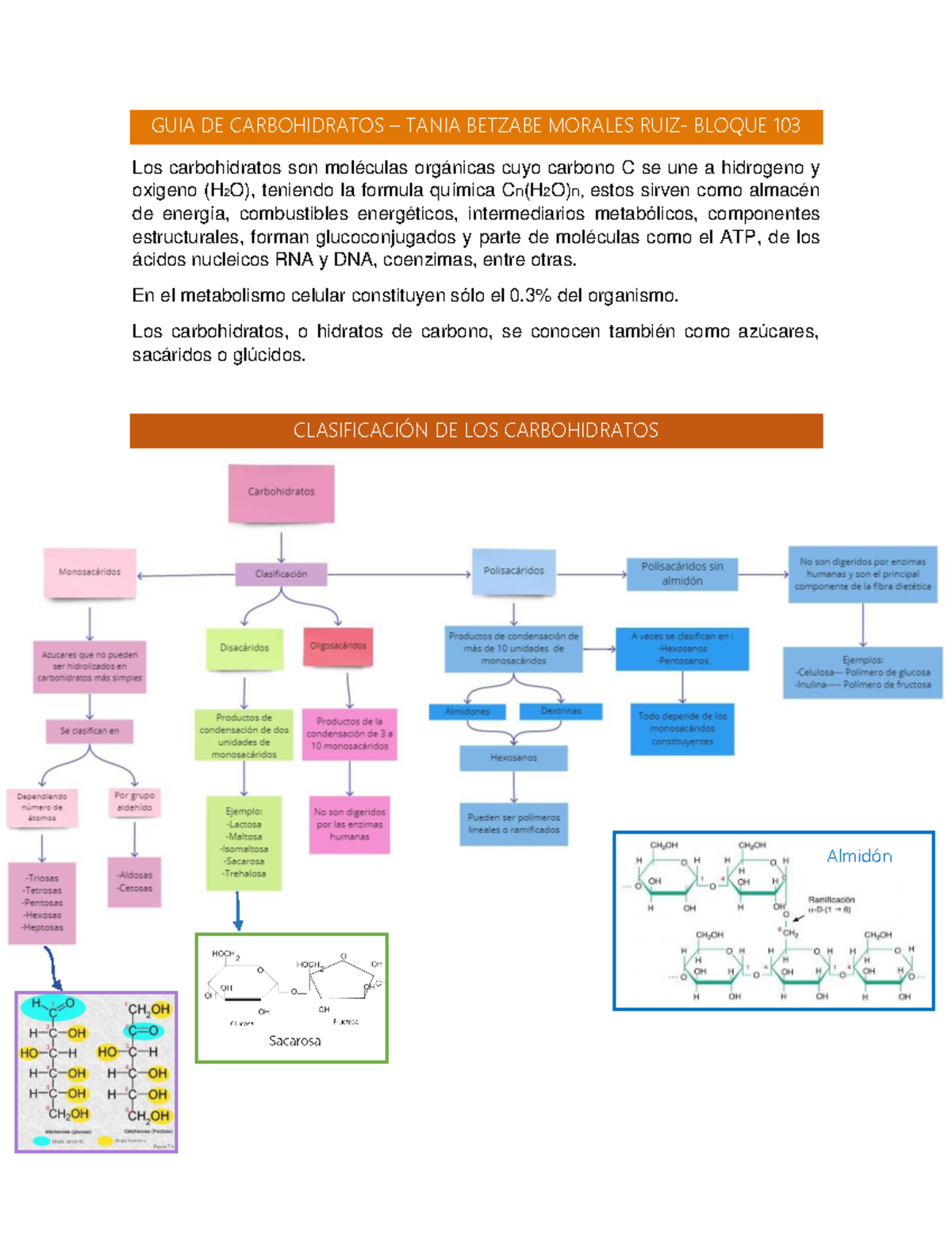 Guía De Carbohidratos - GUIA DE CARBOHIDRATOS – TANIA BETZABE MORALES ...