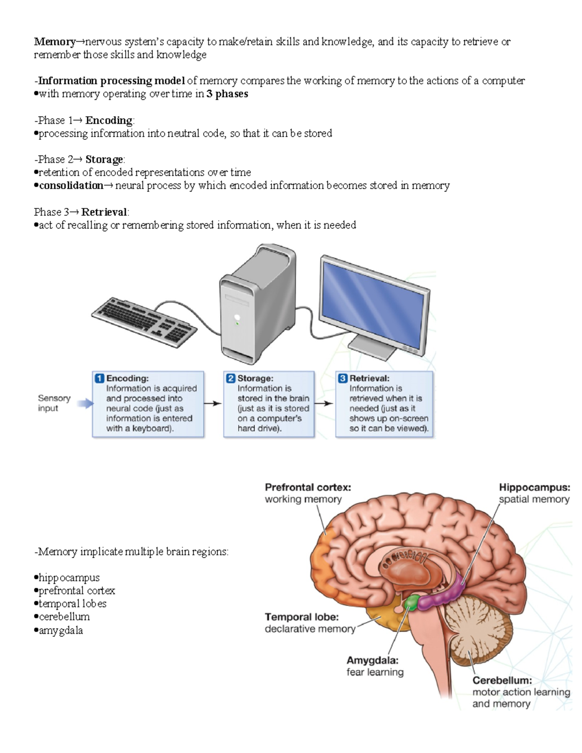 PSYC200 - Unit7 Memory - PSYC 200 - Concordia - Studocu
