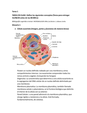 Microbiologia Glosario Tarea 1 TAREA EN CLASE Define los  