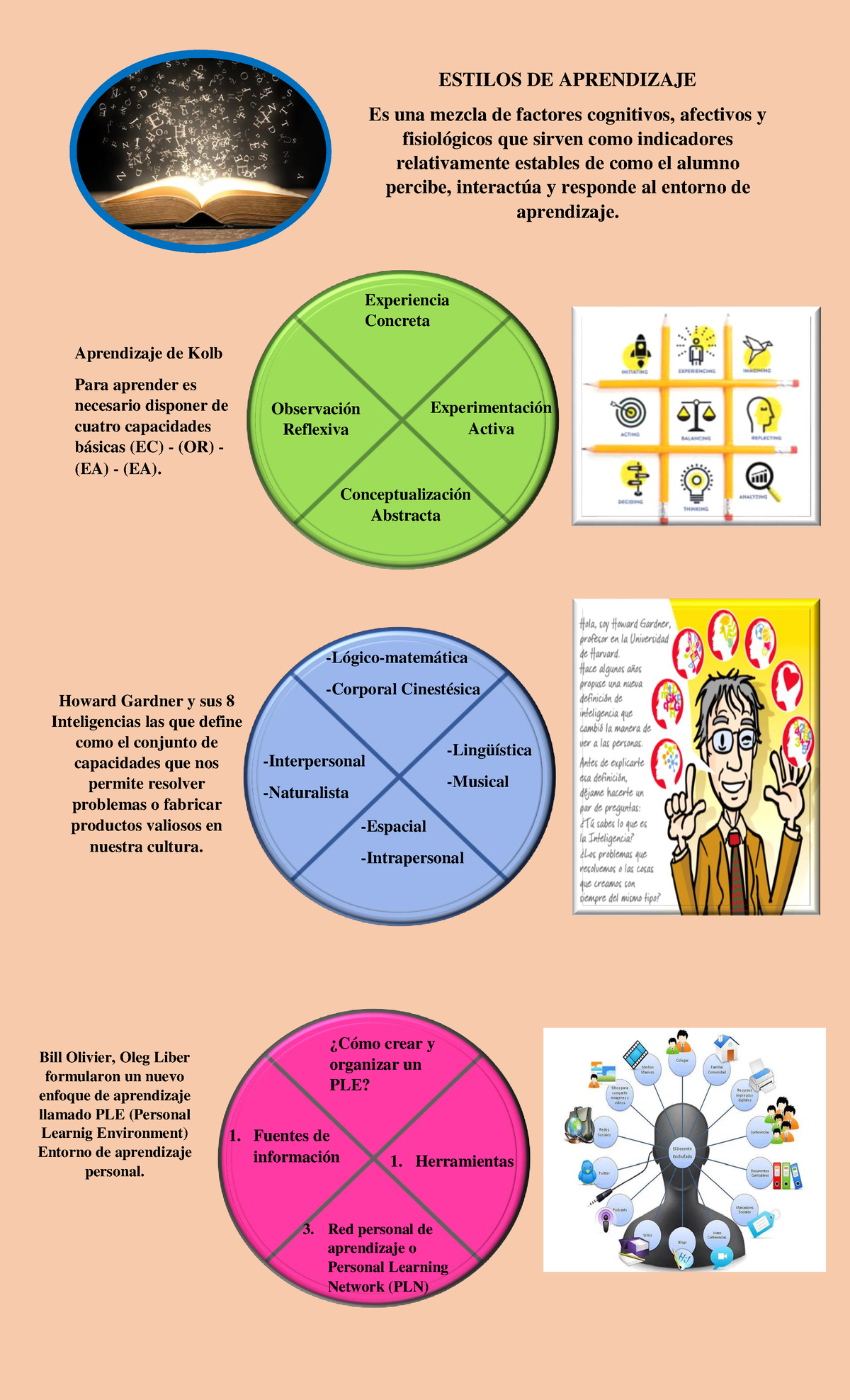 Infografía Sobre El Estilo Y La Metodología Asociada Al Proceso De Aprendizaje Estilos De 0462