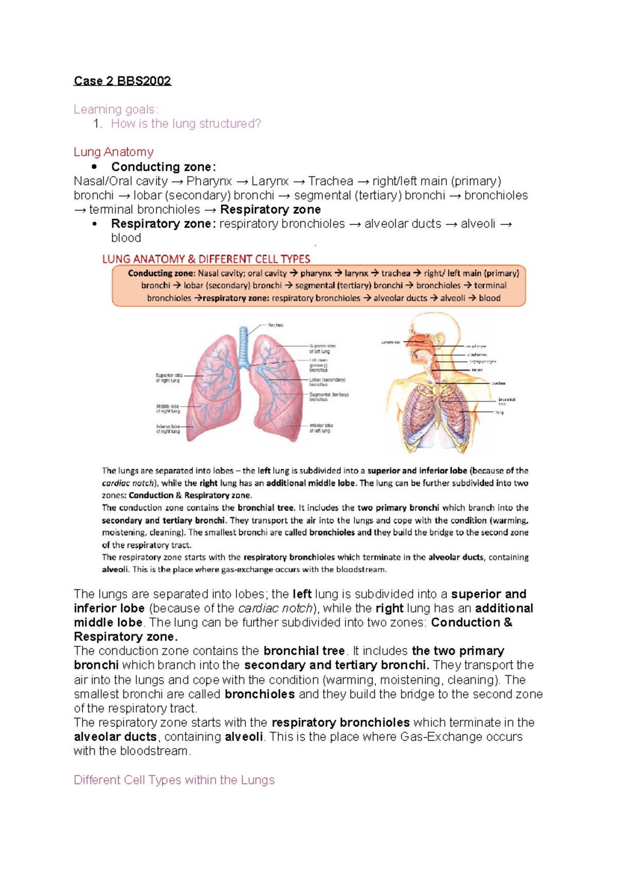 Case 2 BBS2002 - Case 2 BBS Learning goals: 1. How is the lung ...