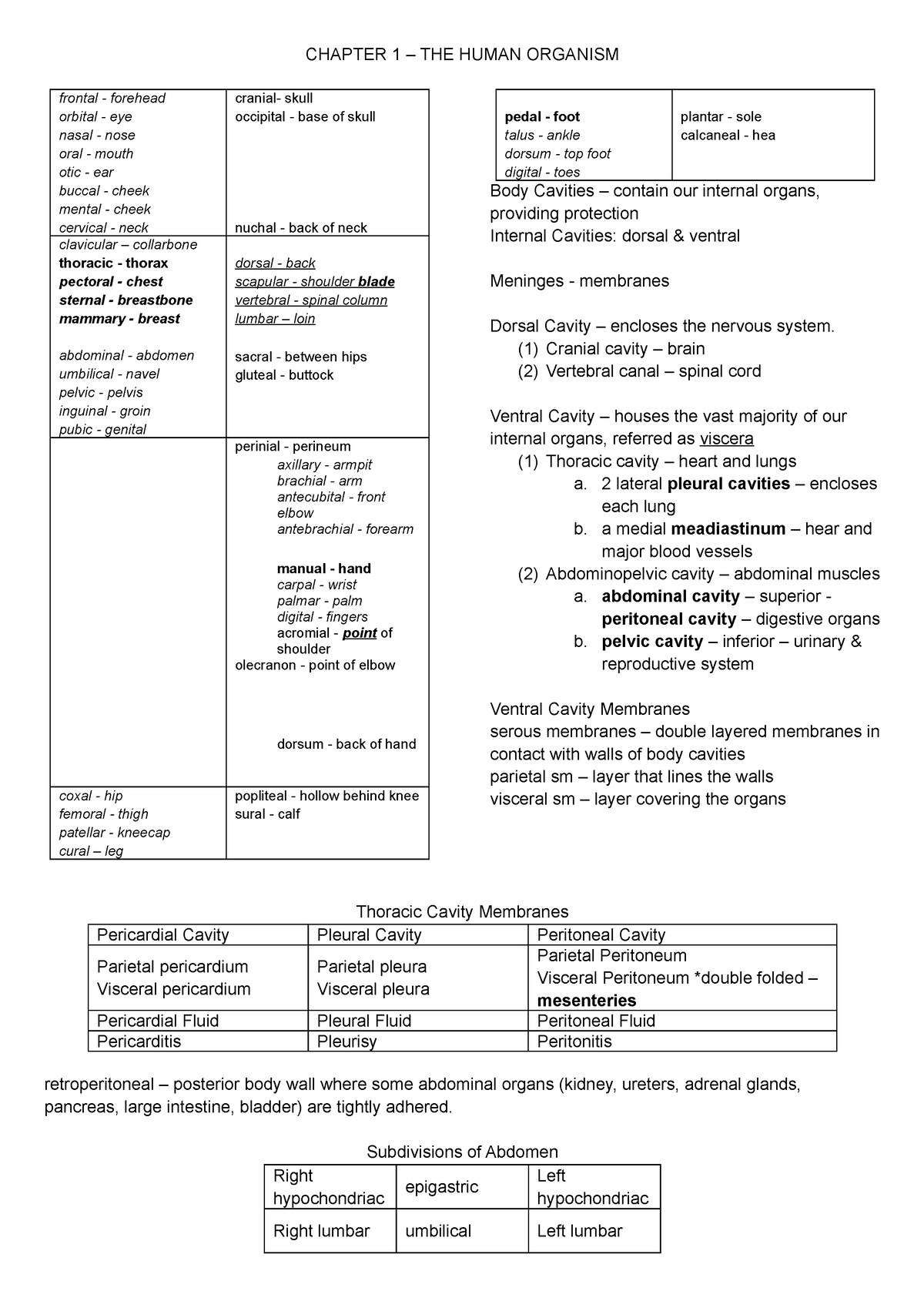 Anaphy Ch1-2 - CHAPTER 1 – THE HUMAN ORGANISM Frontal - Forehead ...