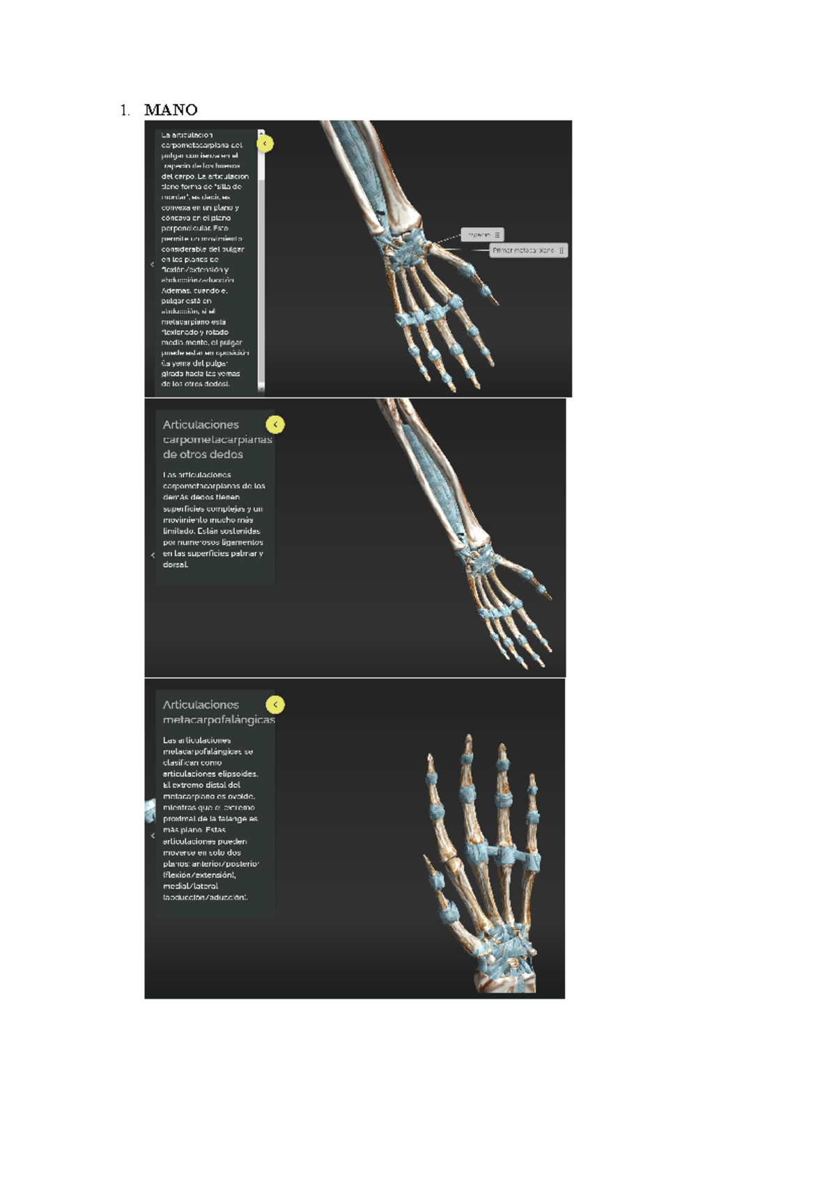 MANO - Anatomía de la mano y muñeca - 1. MANO Compuesta por 27 huesos ...