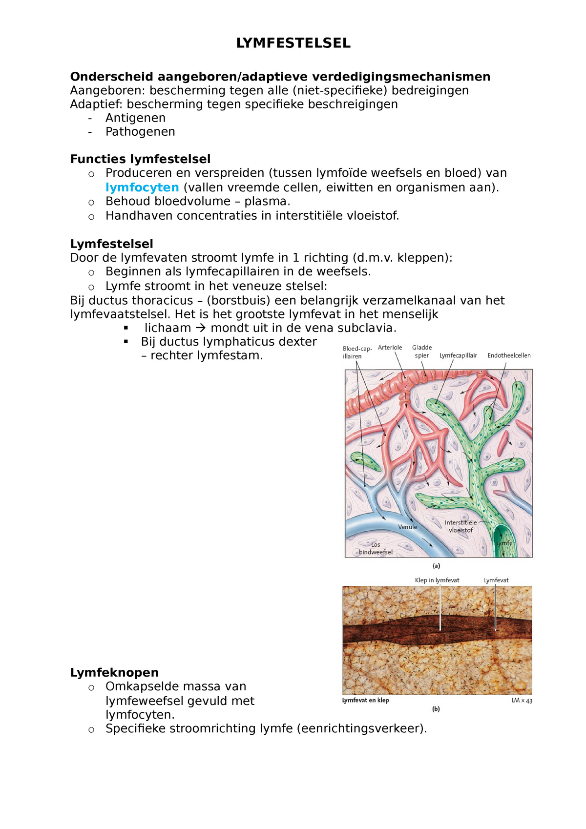 Lymfestelsel Samenvatting Anatomie En Fysiologie Lymfestelsel