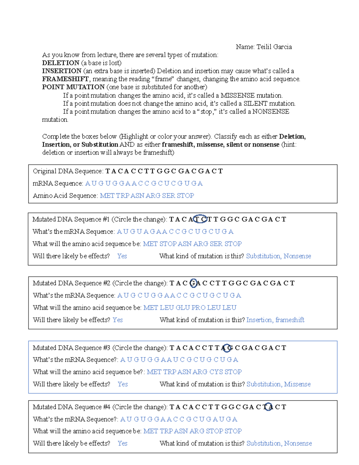 Mutations Worksheet - As you know from lecture, there are several types ...