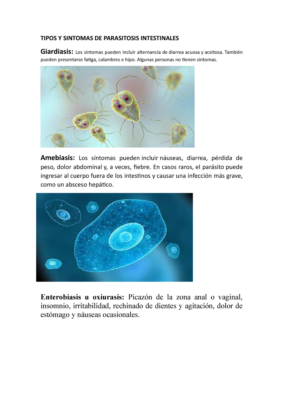 Tipos Y Sintomas De Parasitosis Intestinales Tipos Y Sintomas De Parasitosis Intestinales