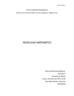 Ecuación fundamental de la hidrostática Introducción La ecuación