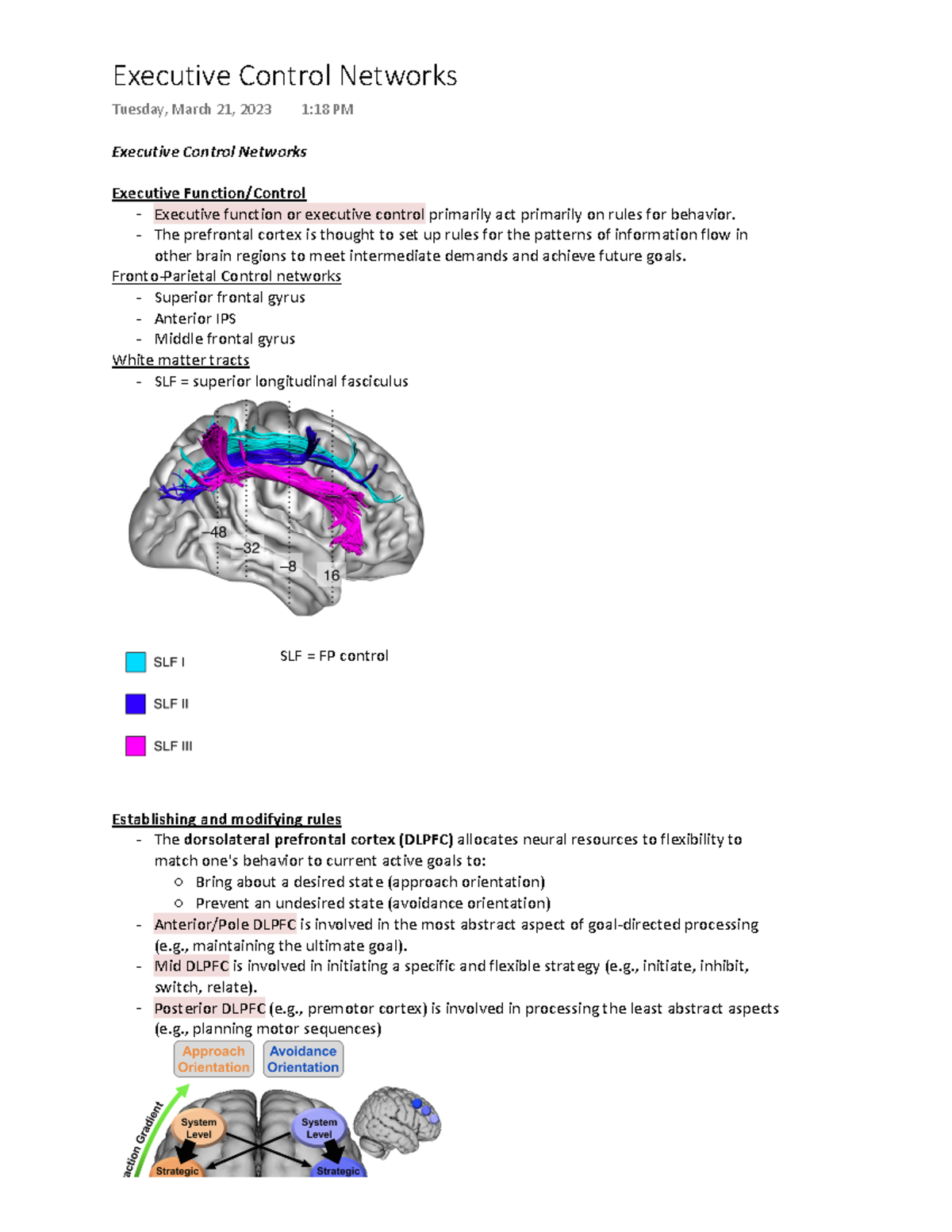 Executive Control Network Executive Control Networks Executive