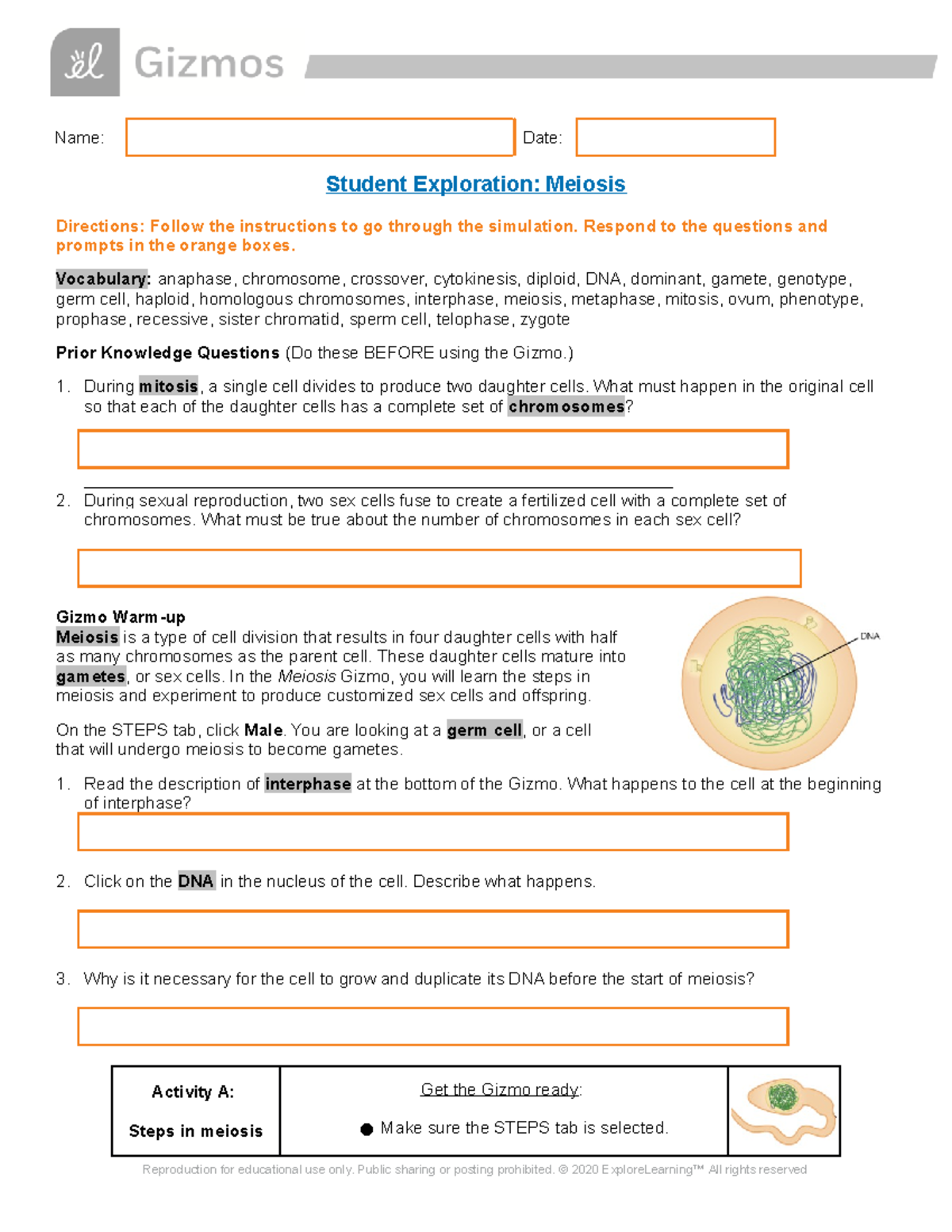 Meiosis Gizmos. - Name: Date: Student Exploration: Meiosis Directions ...