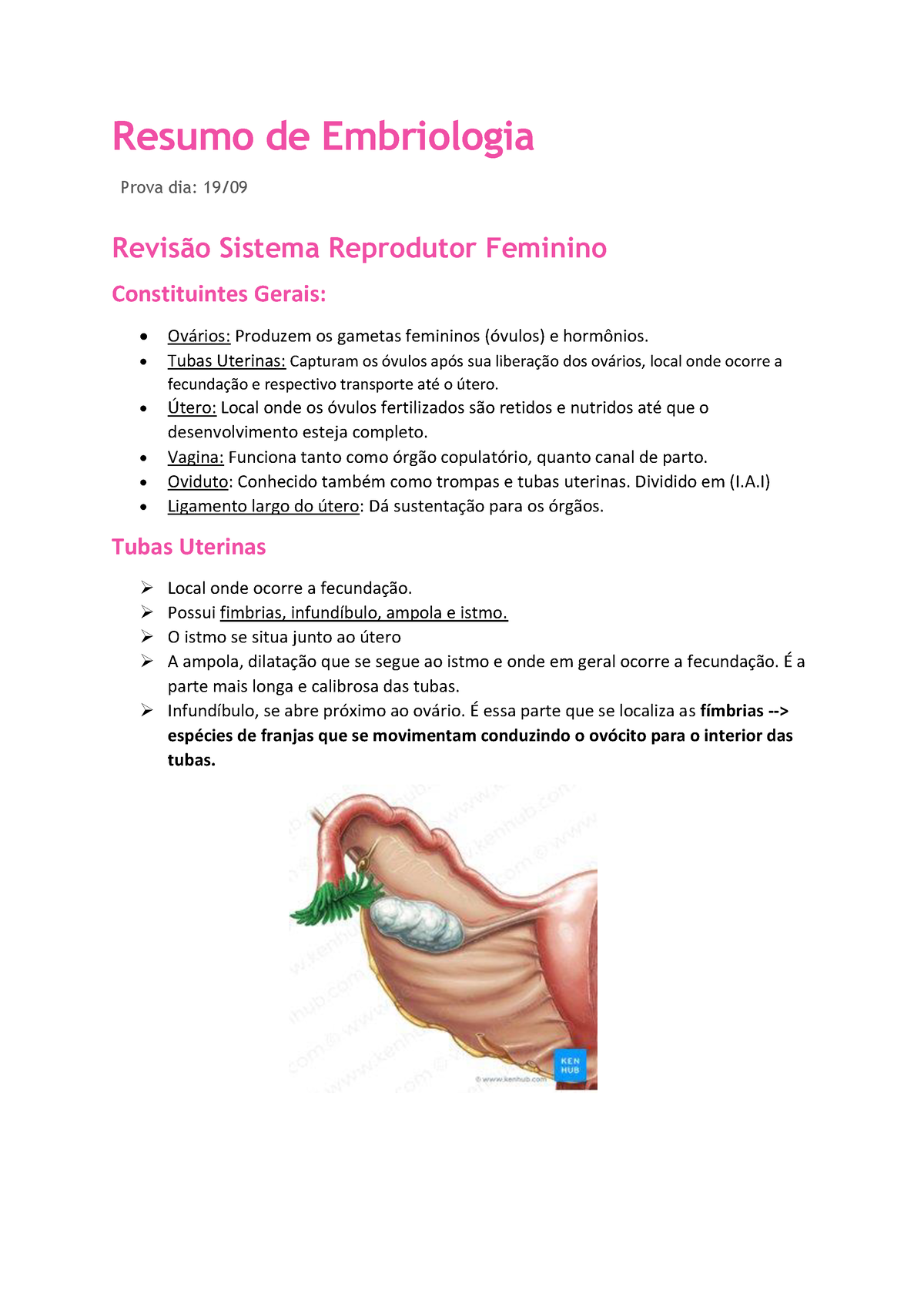 Embriologia Sistema Reprodutor Feminino Resumo De Embriologia Prova Dia 19 Revis„o Sistema 8268