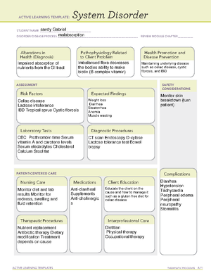 Diabetes Careplan 2 - Care plan for clinic - HUNDING ALLEY school STUDY ...