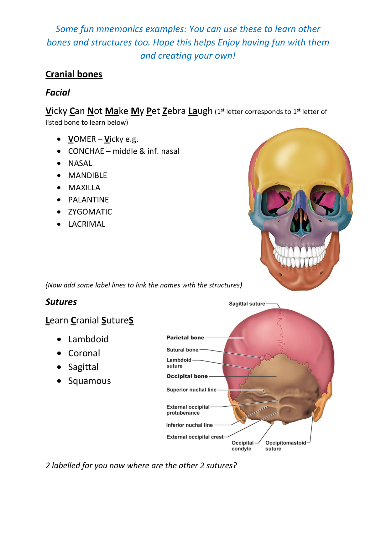 Fun revision mnemonic examples bones - Some fun mnemonics examples: You ...