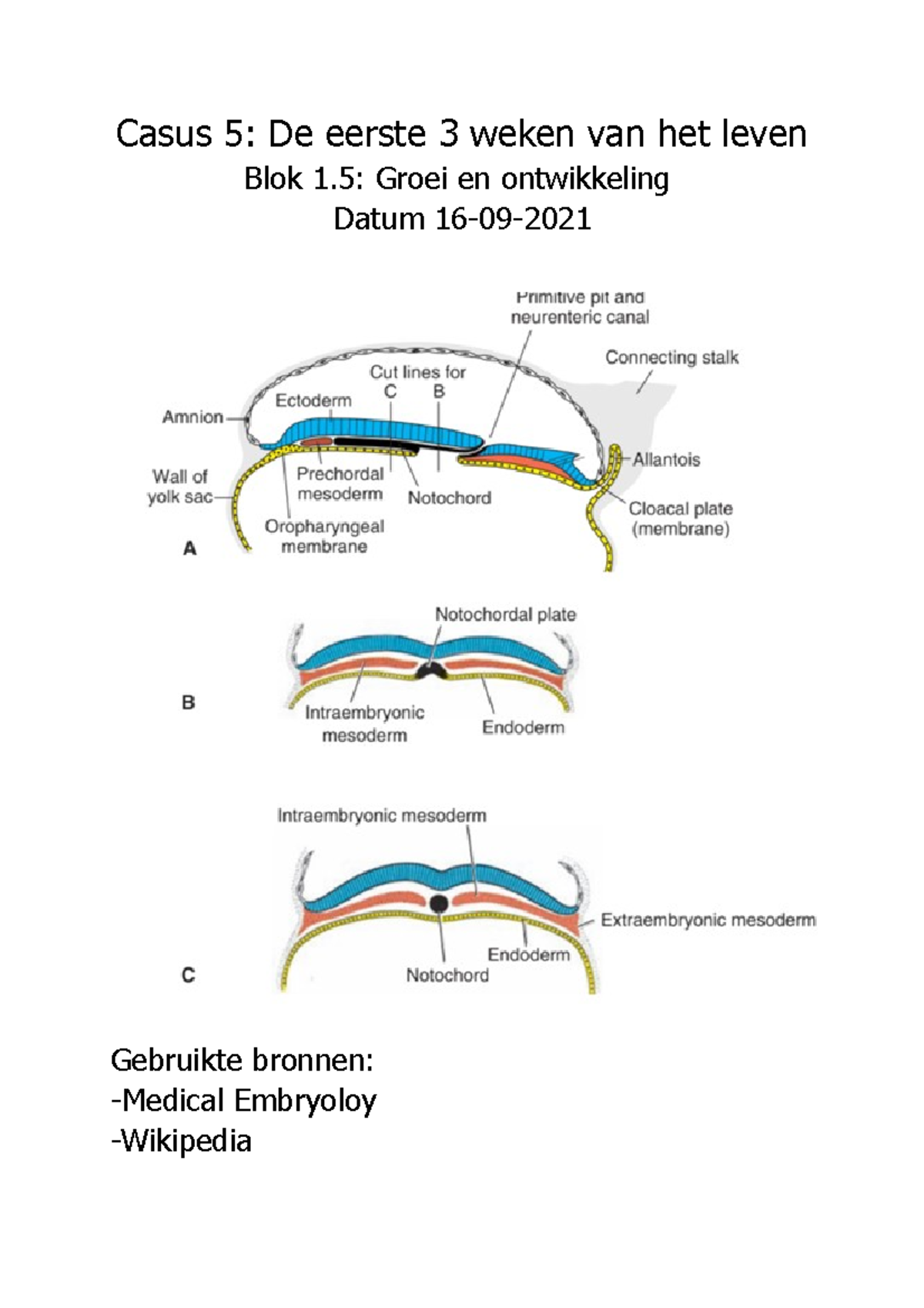 Casus 1.5 Blok 1 Geneeskunde Groei En Ontwikkeling - Casus 5: De Eerste ...