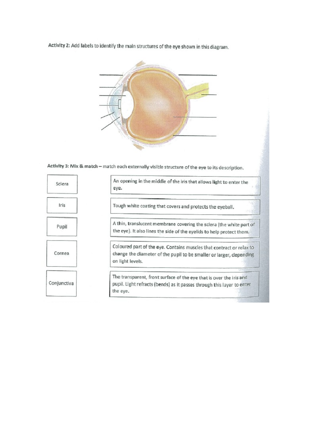 Eye Edu K - mod 8 - Activity 2: Add labels to identify the main ...