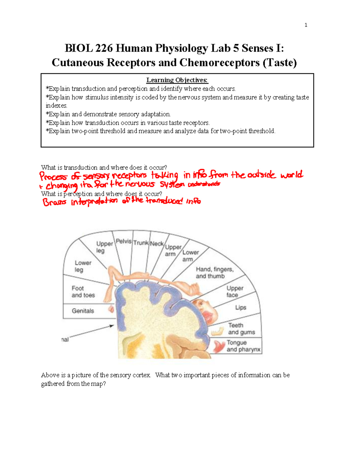 Physio+Lab+Report+05 BIOL 226 Human Physiology Lab 5 Senses I