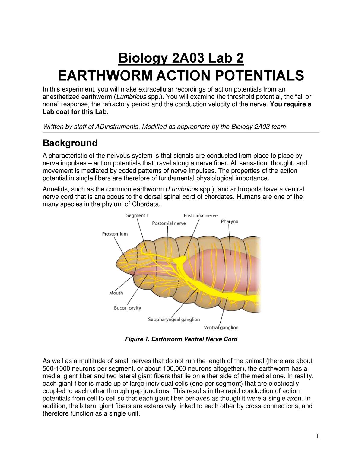 Earthworm Anatomy and Dissection Guide - BIOLOGY JUNCTION